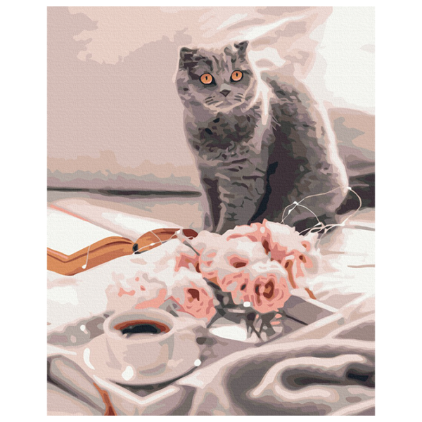Pictură pe numere BrushMe Britanicul preferat BS51927FC 50 x 40 cm / Verticală photo 1 Pictură pe numere BrushMe Britanicul preferat BS51927FC 50 x 40 cm / Verticală photo 1