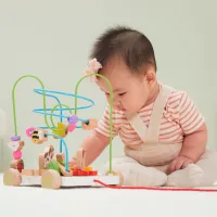 Jucărie de împins și tras VIGA Busy Board 1+ / Multicolor photo 3