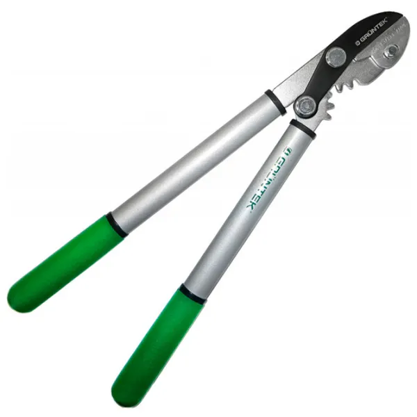 Foarfecă de gradină Gruntek Grizzly Oțel carbon photo 1
