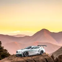 Mașină RC Bentley GT3 866-1817B / 2.4 GHz / Green White photo 7