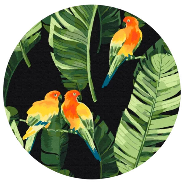 Pictură pe numere BrushMe Papagali tropicali RC00018FC 30 x 30 cm / Verticală photo 1 Pictură pe numere BrushMe Papagali tropicali RC00018FC 30 x 30 cm / Verticală photo 1