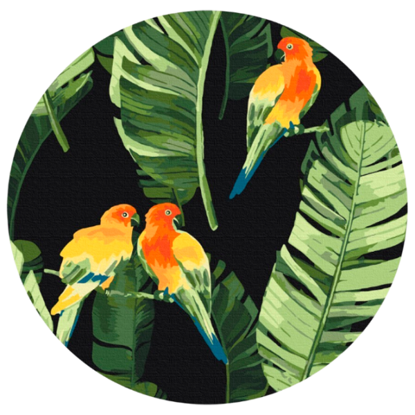 Pictură pe numere BrushMe Papagali tropicali RC00018FC 30 x 30 cm / Verticală photo 1 Pictură pe numere BrushMe Papagali tropicali RC00018FC 30 x 30 cm / Verticală photo 1
