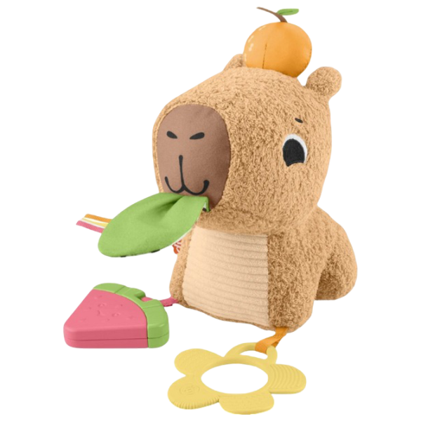 Jucărie moale Fisher Price Capybara HYR54 0.3+ / Brown photo 1