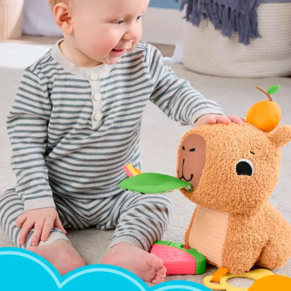 Jucărie moale Fisher Price Capybara HYR54 0.3+ / Brown photo 4