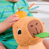 Jucărie moale Fisher Price Capybara HYR54 0.3+ / Brown photo 5