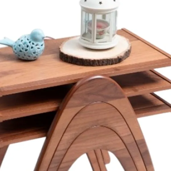 Set măsuțe de cafea Dizayno Home TB-Semer Nest 082944 Brown photo 4