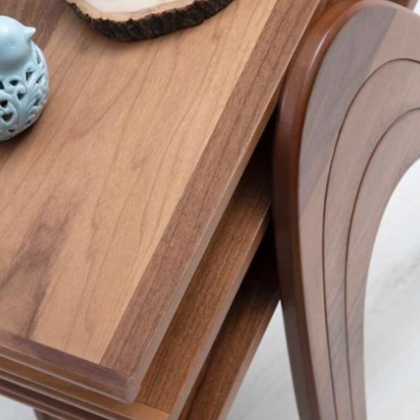Set măsuțe de cafea Dizayno Home TB-Semer Nest 082944 Brown photo 5