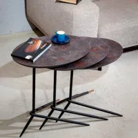 Set măsuțe de cafea Dizayno Home TG-Bolero Nest 082952 Brown photo 4