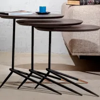Set măsuțe de cafea Dizayno Home TG-Bolero Nest 082952 Brown photo 5