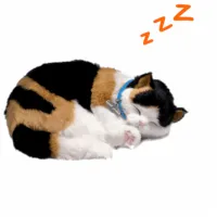 Jucărie interactivă Perfect Petzzz Now we're huggable! Calico Cat 92-16 3+ / Multicolor Multicolor photo 3