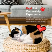 Jucărie interactivă Perfect Petzzz Now we're huggable! Calico Cat 92-16 3+ / Multicolor Multicolor photo 6