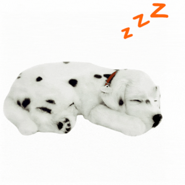 Интерактивная игрушка Perfect Petzzz Now we're huggable! Dalmatian Puppy 91-17 3+ / Черный Белый photo 2