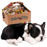 Интерактивная игрушка Perfect Petzzz Now we're huggable! Boston Terrier 91-35 3+ / White Черный