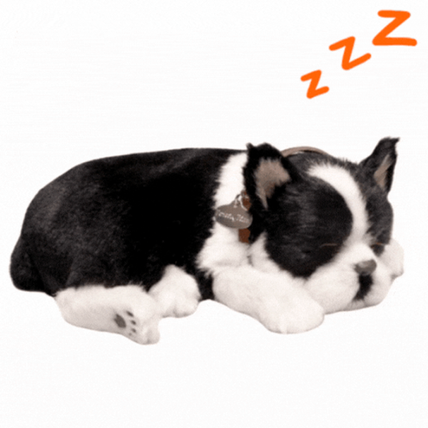 Интерактивная игрушка Perfect Petzzz Now we're huggable! Boston Terrier 91-35 3+ / White Черный photo 2