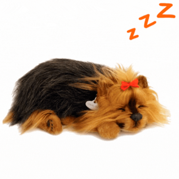 Интерактивная игрушка Perfect Petzzz Now we're huggable! Yorkie Dog 91-26 3+ / Brown Черный photo 2