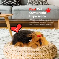Jucărie interactivă Perfect Petzzz Now we're huggable! Yorkie Dog 91-26 3+ / Brown Black photo 5