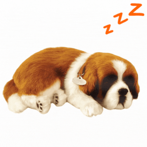 Интерактивная игрушка Perfect Petzzz Now we're huggable! St. Bernard 91-04 3+ / White Коричневый photo 3