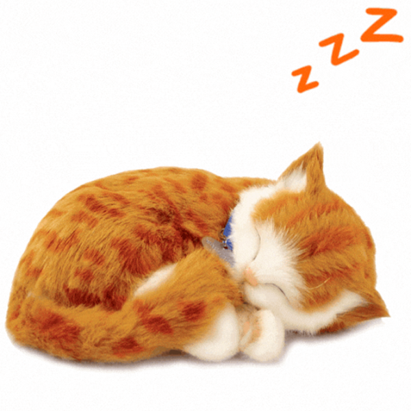 Интерактивная игрушка Perfect Petzzz Now we're huggable! Tabby Cat 92-05 3+ / White Оранжевый photo 3