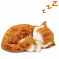 Jucărie interactivă Perfect Petzzz Now we're huggable! Tabby Cat 92-05 3+ / White Orange photo 3