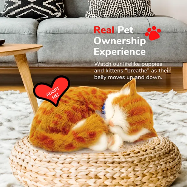 Интерактивная игрушка Perfect Petzzz Now we're huggable! Tabby Cat 92-05 3+ / White Оранжевый photo 5