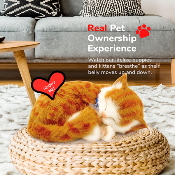 Интерактивная игрушка Perfect Petzzz Now we're huggable! Tabby Cat 92-05 3+ / White Оранжевый photo 5