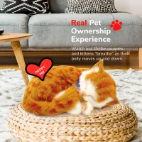 Jucărie interactivă Perfect Petzzz Now we're huggable! Tabby Cat 92-05 3+ / White Orange photo 5