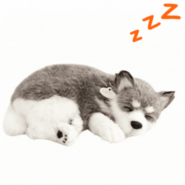 Интерактивная игрушка Perfect Petzzz Now we're huggable! Shiba Puppy 91-03 3+ / White Серый photo 2