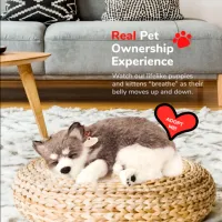 Jucărie interactivă Perfect Petzzz Now we're huggable! Shiba Puppy 91-03 3+ / White Gray photo 5