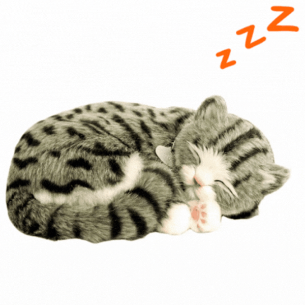 Интерактивная игрушка Perfect Petzzz Now we're huggable! Tabby Kitten 92-14 3+ / White Серый photo 3