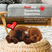 Jucărie interactivă Perfect Petzzz Now we're huggable! Chocolate Labrador 91-13 3+ / Black Brown photo 5