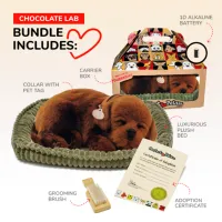Jucărie interactivă Perfect Petzzz Now we're huggable! Chocolate Labrador 91-13 3+ / Black Brown photo 6