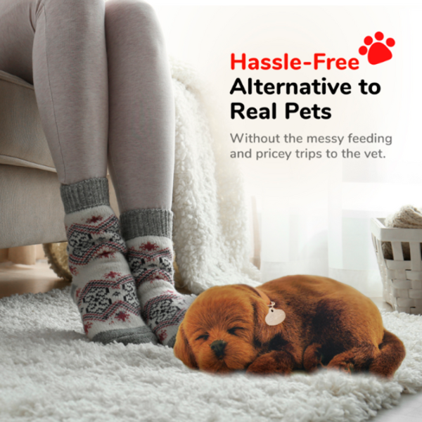 Интерактивная игрушка Perfect Petzzz Now we're huggable! Chocolate Labrador 91-13 3+ / Черный Коричневый photo 7