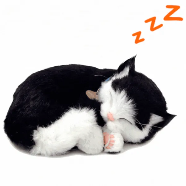 Интерактивная игрушка Perfect Petzzz Now we're huggable! Short Haired Cat 92-06 3+ / White Черный photo 2