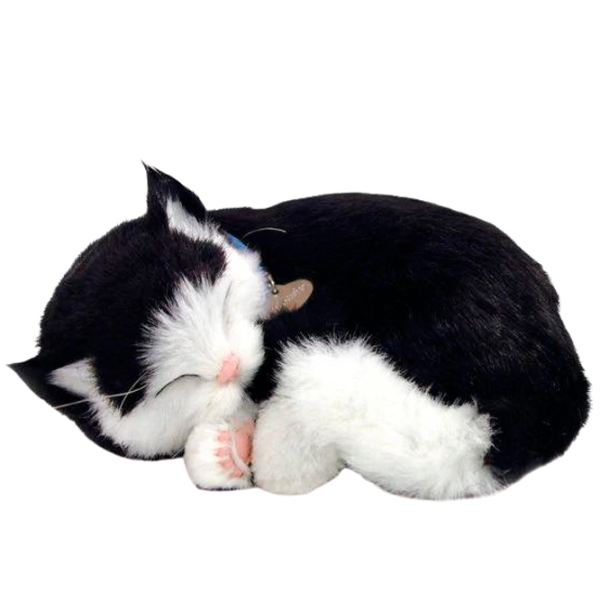 Интерактивная игрушка Perfect Petzzz Now we're huggable! Short Haired Cat 92-06 3+ / White Черный photo 4