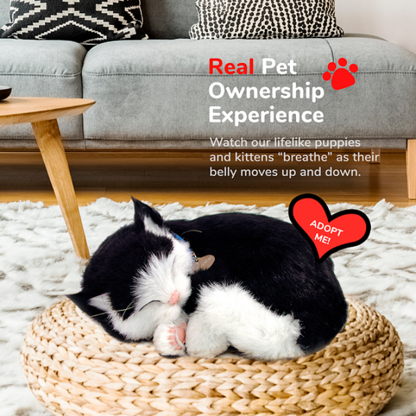 Интерактивная игрушка Perfect Petzzz Now we're huggable! Short Haired Cat 92-06 3+ / White Черный photo 5