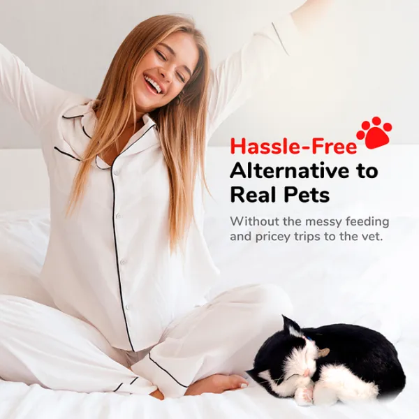 Интерактивная игрушка Perfect Petzzz Now we're huggable! Short Haired Cat 92-06 3+ / White Черный photo 6