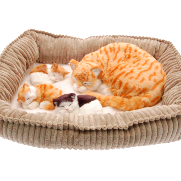 Интерактивная игрушка Perfect Petzzz Now we're huggable! Cat with kittens 92-17 3+ / White Разноцветный photo 1