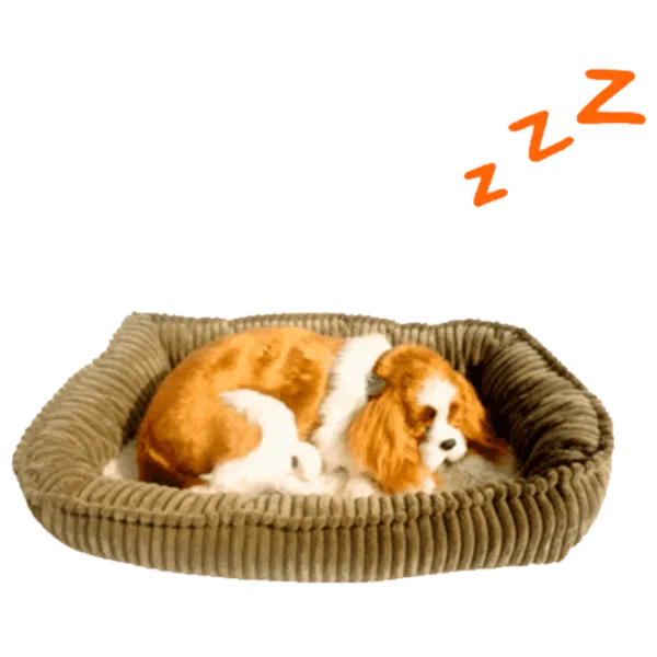 Интерактивная игрушка Perfect Petzzz Now we're huggable! Spaniel 91-28 3+ / White Коричневый photo 2