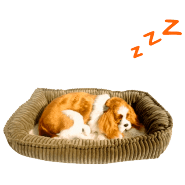 Интерактивная игрушка Perfect Petzzz Now we're huggable! Spaniel 91-28 3+ / White Коричневый photo 2