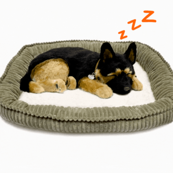 Интерактивная игрушка Perfect Petzzz Now we're huggable! Немецкая овчарка 91-34 3+ / Brown Черный photo 2