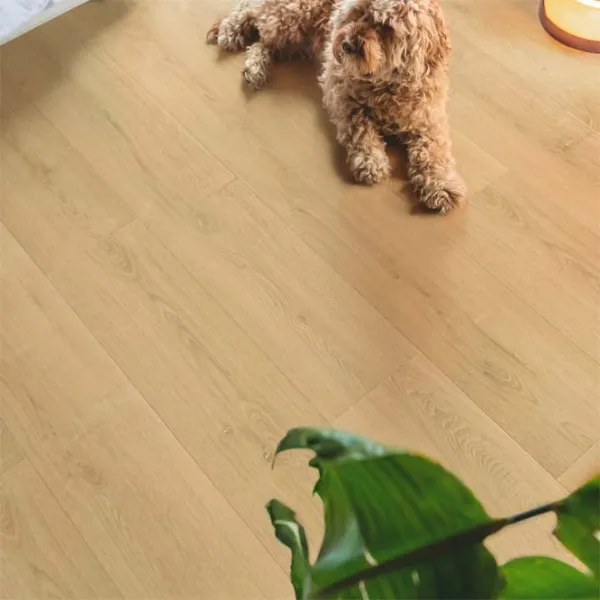 Laminat Quick-Step SIG4763 Beige / 2.04 m² photo 8