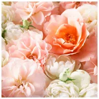 Обои DECOCODE 016-26-DE Розовый / Цветы