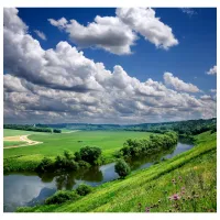 Обои DECOCODE 26-0508-PG Зеленый / Природа