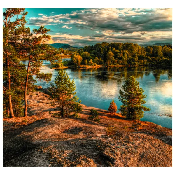 Обои DECOCODE 31-0258-PG Зеленый / Природа photo 1
