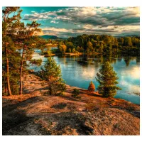 Tapete DECOCODE 31-0258-PG Green / Natură