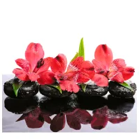 Обои DECOCODE 31-0270-FR Разноцветный / Цветы