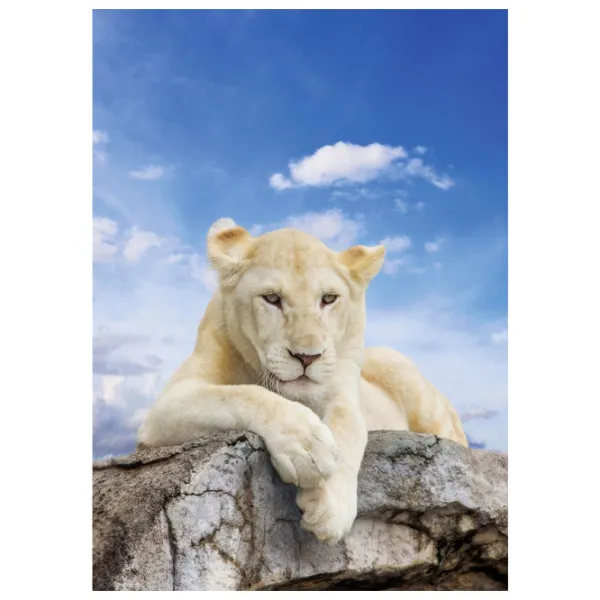 Tapete DECOCODE 21-0206-NL Multicolor / Animale photo 1