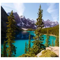 Обои DECOCODE 31-0045-PL Разноцветный / Природа