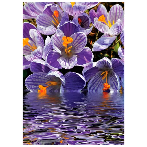 Tapete DECOCODE 21-0222-FV Violet / Flori photo 1