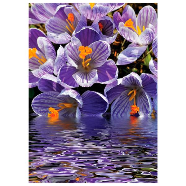 Tapete DECOCODE 21-0222-FV Violet / Flori photo 1
